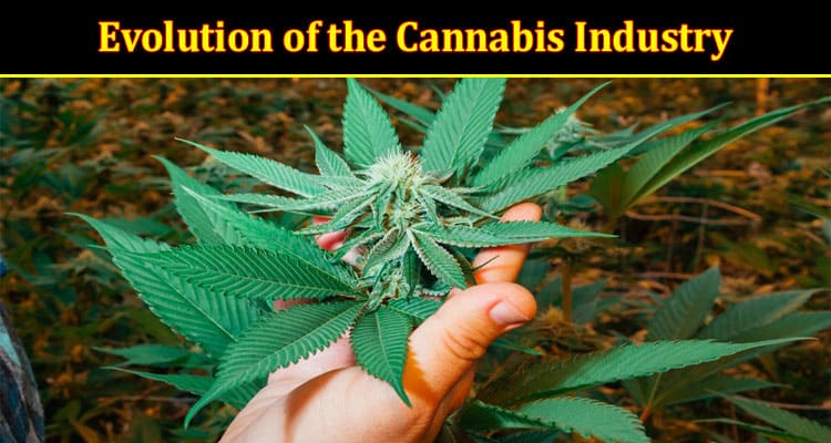 Evolution of the Cannabis Industry – Trends, Innovations, and Outlook