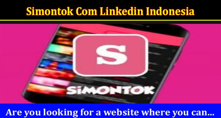 Latest News Simontok Com Linkedin Indonesia