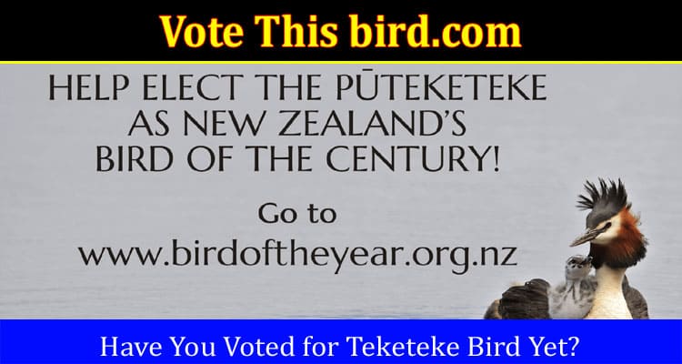 Latest News Vote This bird.com