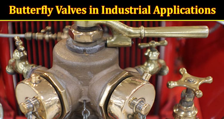Complete Information The Evolution of Butterfly Valves in Industrial Applications