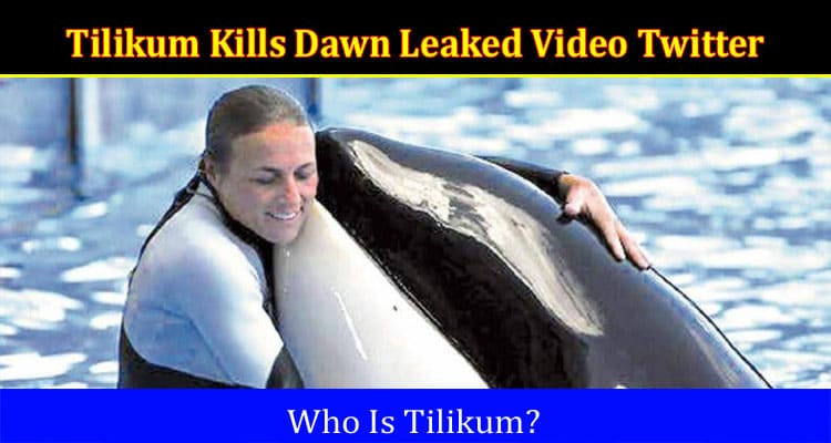 Latest News Tilikum Kills Dawn Leaked Video Twitter