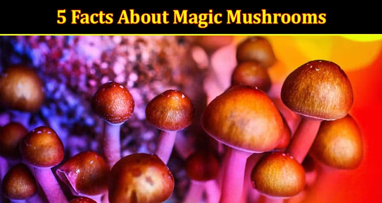 Top 5 Facts About 'Magic' Mushrooms