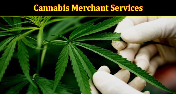How Technology is Changing the Face of Cannabis Merchant Services