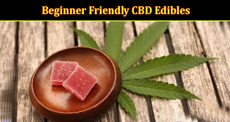 Beginner Friendly CBD Edibles: Gummies vs Oil Which One to Choose From (2024)