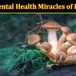 How to Discover the Untold Mental Health Miracles of Psilocybin 