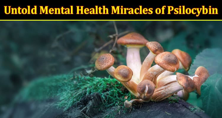 How to Discover the Untold Mental Health Miracles of Psilocybin 