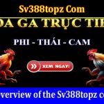 Sv388topz Com Online Website Reviews